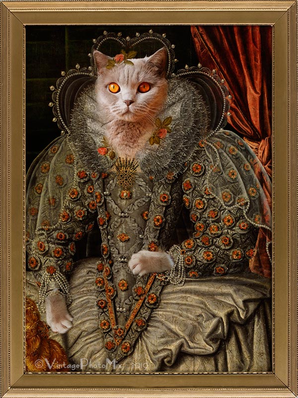 Cat portrait in Renaissance costume.